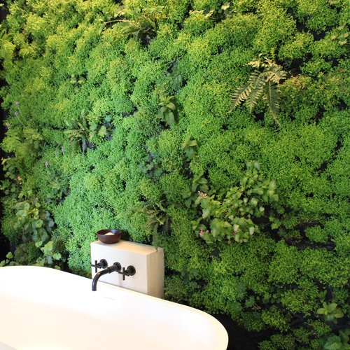 835149815dc3f25b_plant-wall.xxlarge